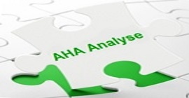 2_AHA_Analyse_270.jpg